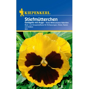 Kiepenkerl Stiefmütterchen Goldgelb mit dunklem Auge, ideal für Beet und Kübel.