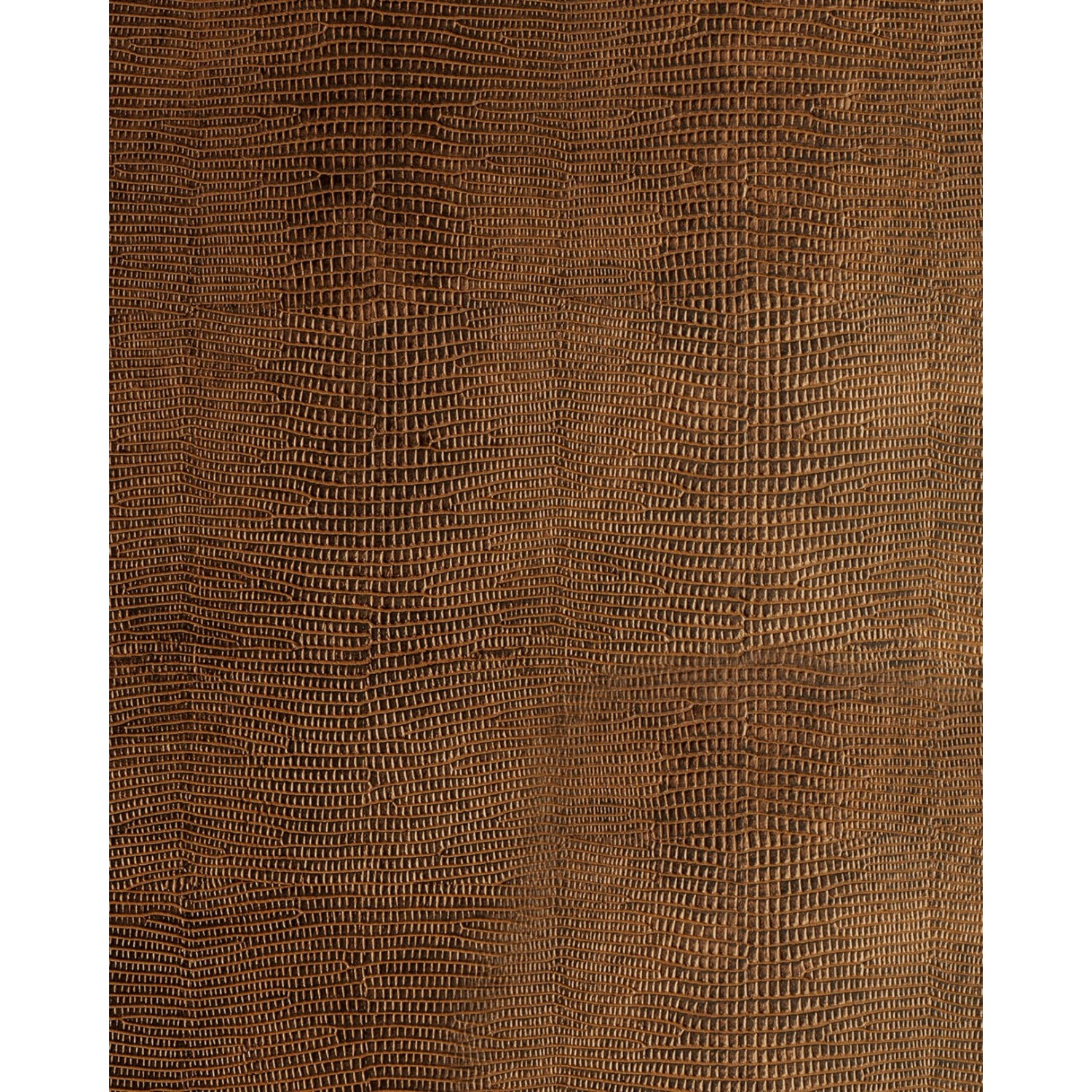 WALLFACE 19777-NA Antigrav LEGUAN Copper Wandpaneel Leguan Optik Kupfer 2,6 günstig online kaufen