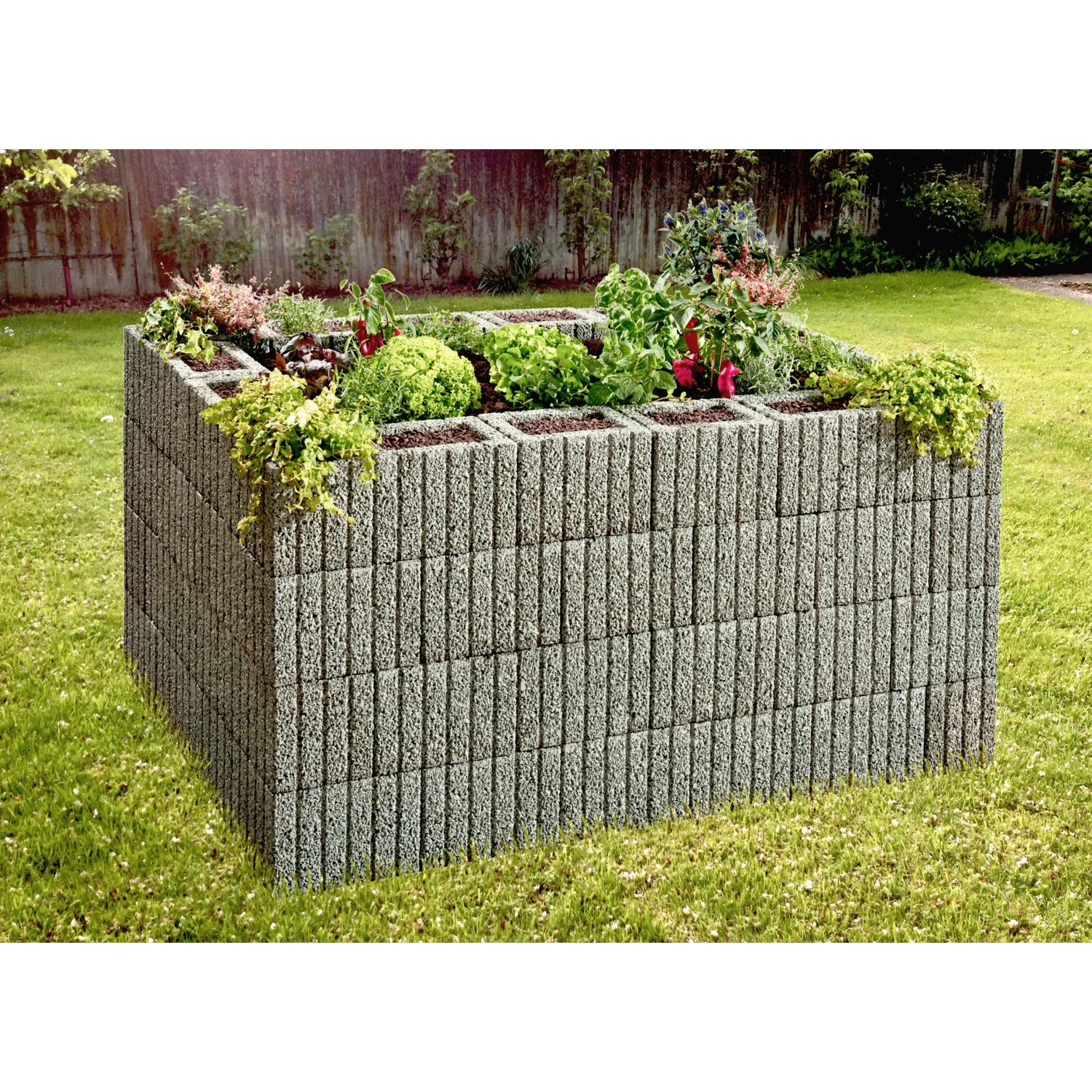 Bepflanzter, grauer Mini-Pflanzstein (30x20x20 cm) im Garten. Ideal zur Hangbefestigung und Gartengestaltung.