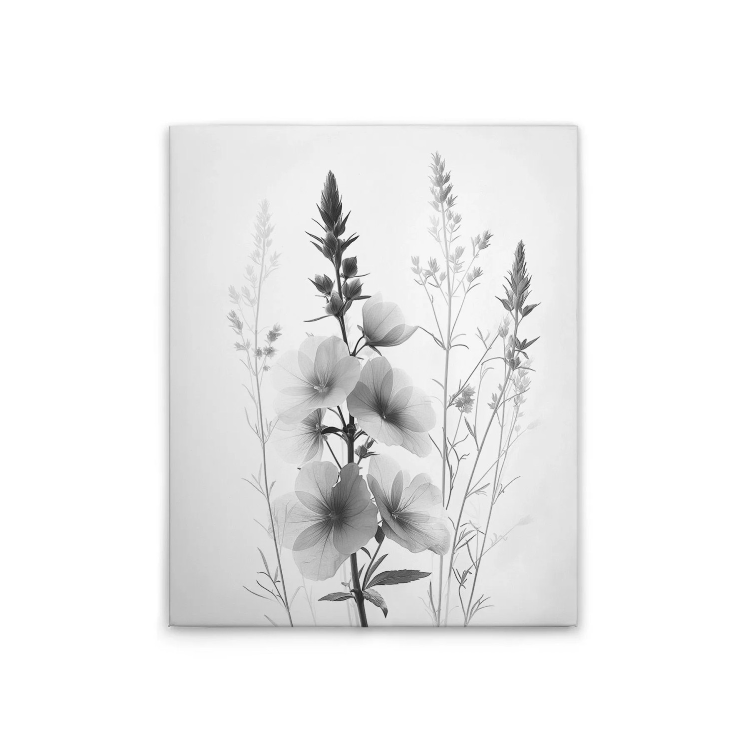 Tadessi Leinwandbild - M1-No.51793 - Blumen Vintage SW - 40 x 50 cm - Querformat