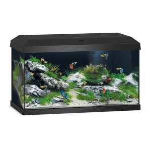 Schwarzes Juwel Aquarium Primo 60 LED 2.0 Komplettset mit Fischen, Pflanzen und Dekoration.