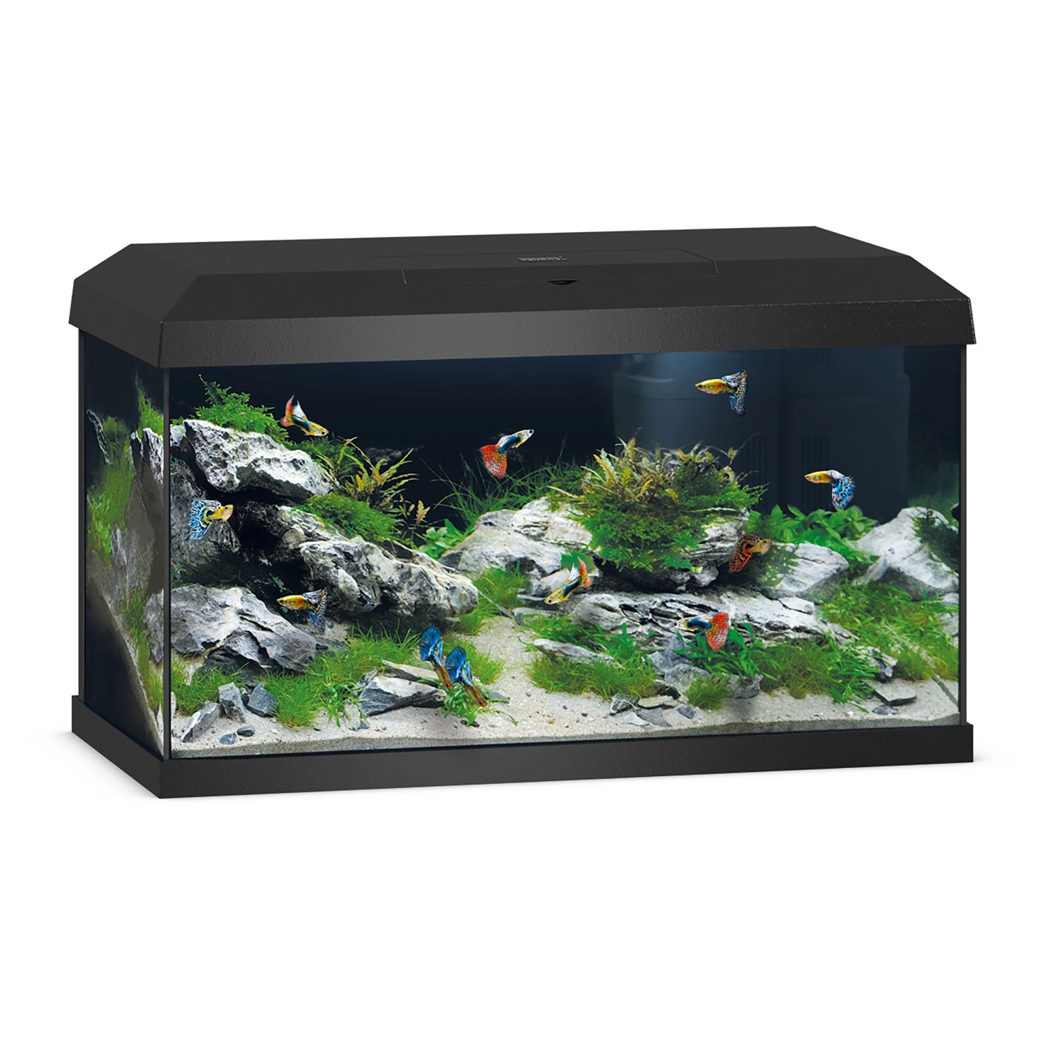 Juwel Aquarium Primo 60 LED 2.0 Schwarz