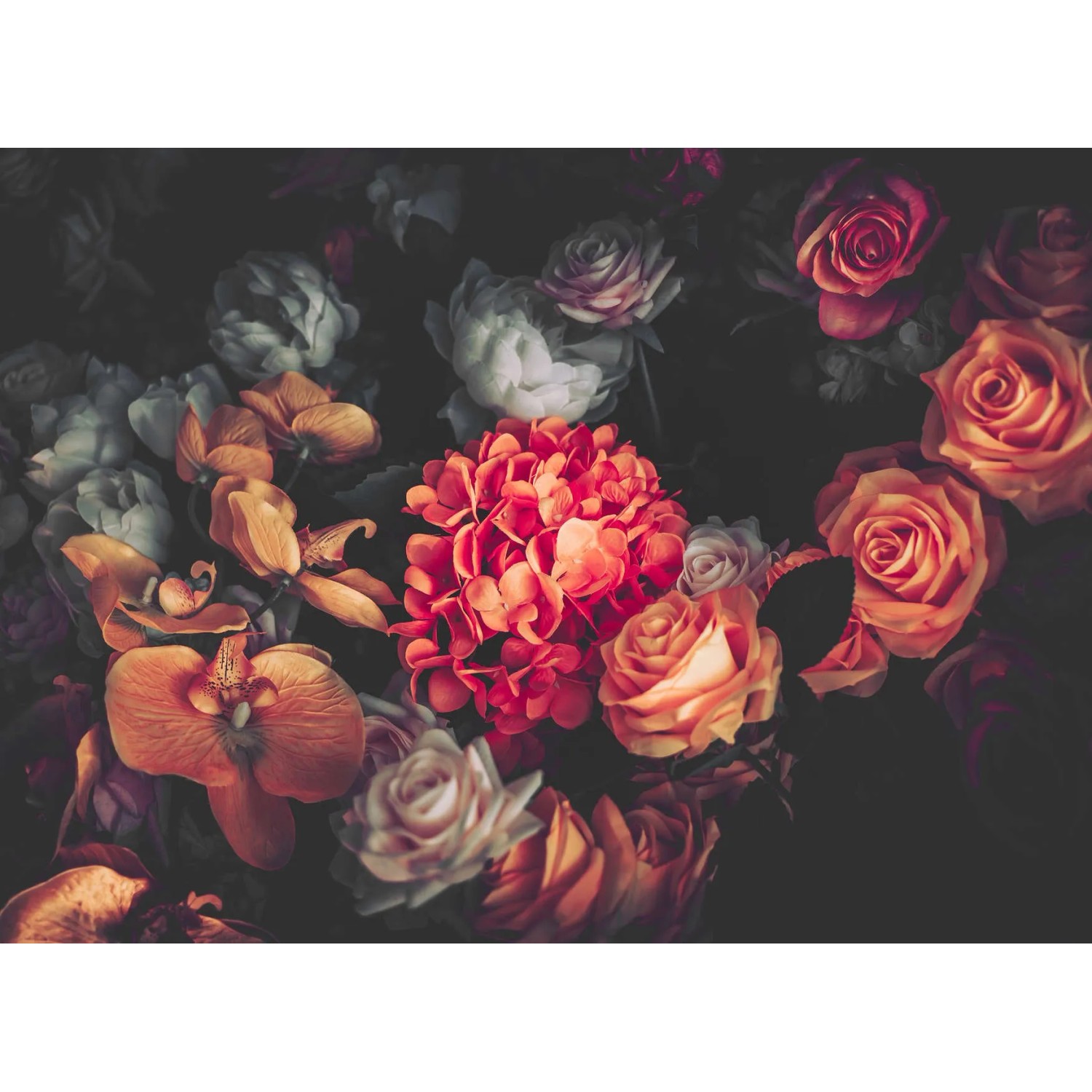 living walls Fototapete Designwalls Romantic Flowers 1, glatt, (5 St)