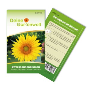 Samenpackung Deiner Gartenwelt Zwergsonnenblume Pacino Gold, gelbe Blüte.
