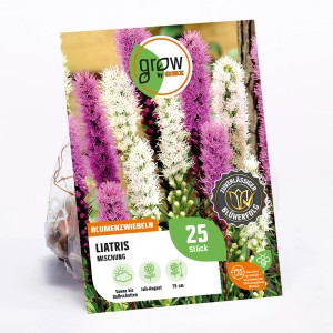 GROW by OBI Liatris Mischung, Blumenzwiebeln mit lila und weißen Blütenähren.