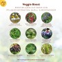 Solabiol Veggie Boost: Inhaltsstoffe wie Kamille, Holunder, Brennnessel und weitere Pflanzenextrakte.
