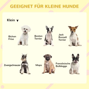 Geeignet für kleine Hunde: verschiedene Rassen wie Mops, Zwergschnauzer und Boston Terrier.