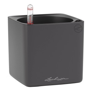 Lechuza CUBE Color 14 Basalt Pflanzgefäß für Kräuter und Zimmerpflanzen.