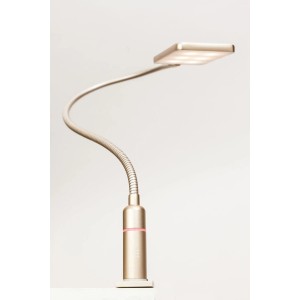 Kalb LED Bettleuchte, 4W, dimmbar, warmweiß, mit flexiblem Schwanenhals, 2er Set, in mattem Messing.