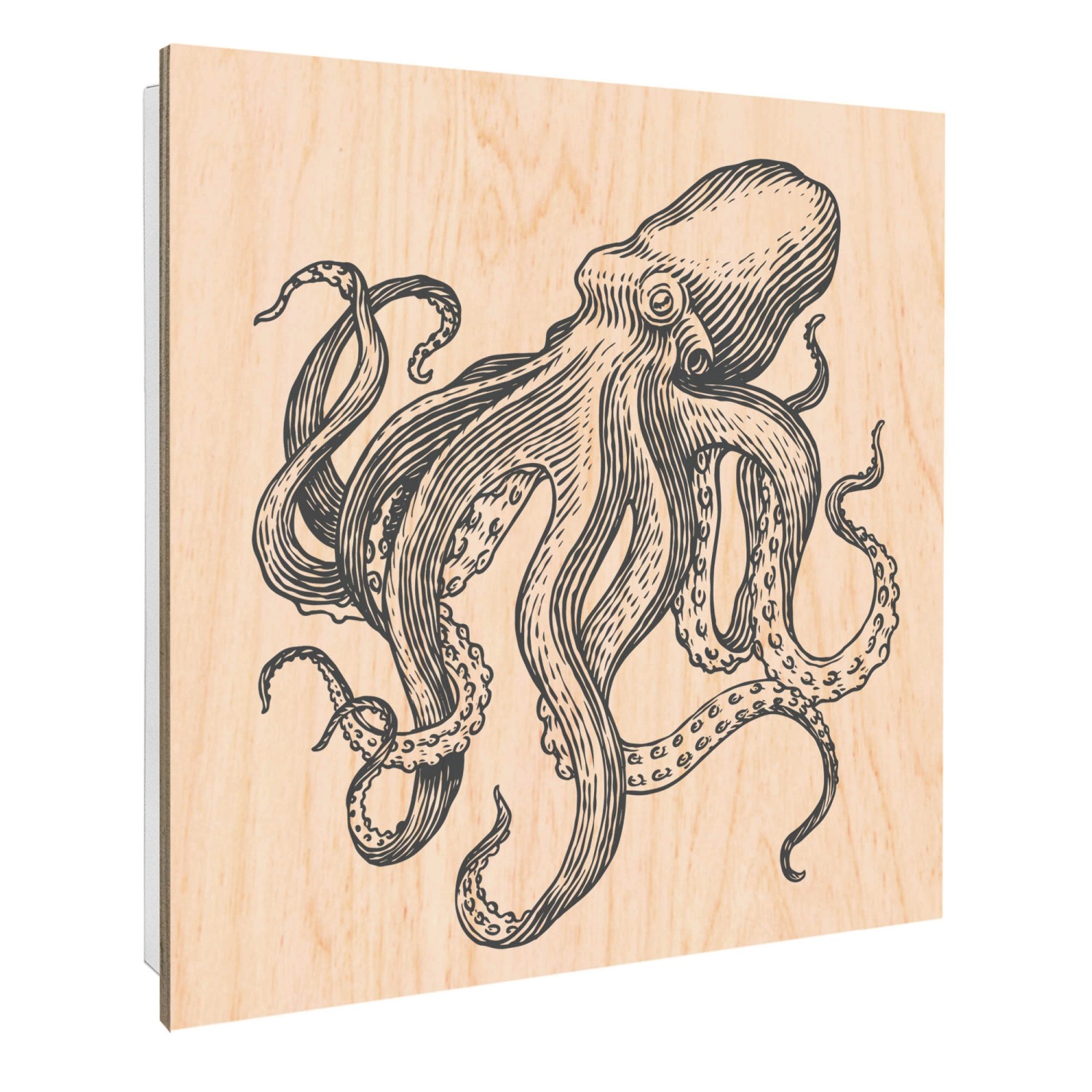Banjado Schlüsselkasten mit Holzfront 30x30cm Weiß Scharnier Links 50 Haken günstig online kaufen