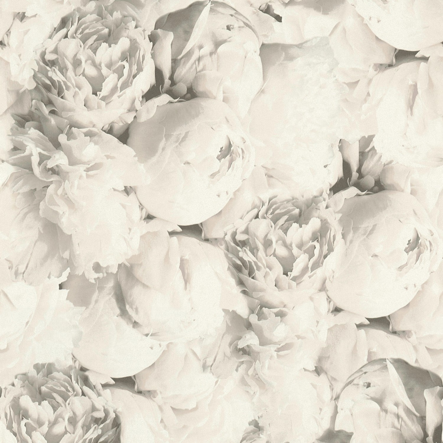 Bricoflor Nostalgische Tapete mit Rosen Vlies Blumentapete mit Pfingstrosen in Weiß Grau Vliestapete mit Blumen für Schl...