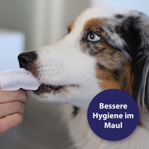 Hundezahnpflege: Canosept Finger-Pad zur Reinigung des Hundegebisses.