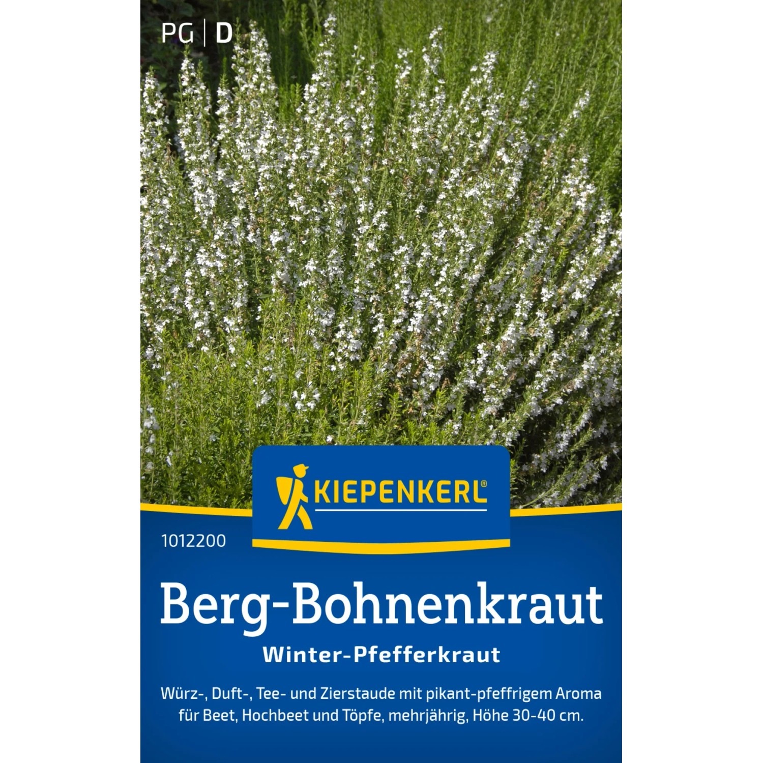 Kiepenkerl Berg-Bohnenkraut "Winter-Pefferkraut"