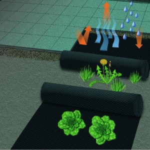Mulchvlies Profirolle: Schwarzes Gartenvlies schützt Pflanzen vor Unkraut und speichert Feuchtigkeit.