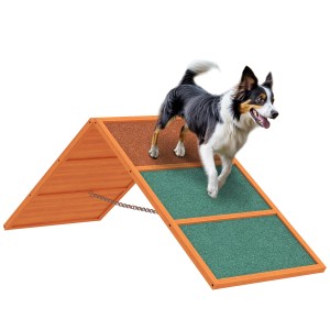 Hund auf orangefarbenem PawHut Agility Steg aus Holz beim Training. Agility & Training für Hunde.