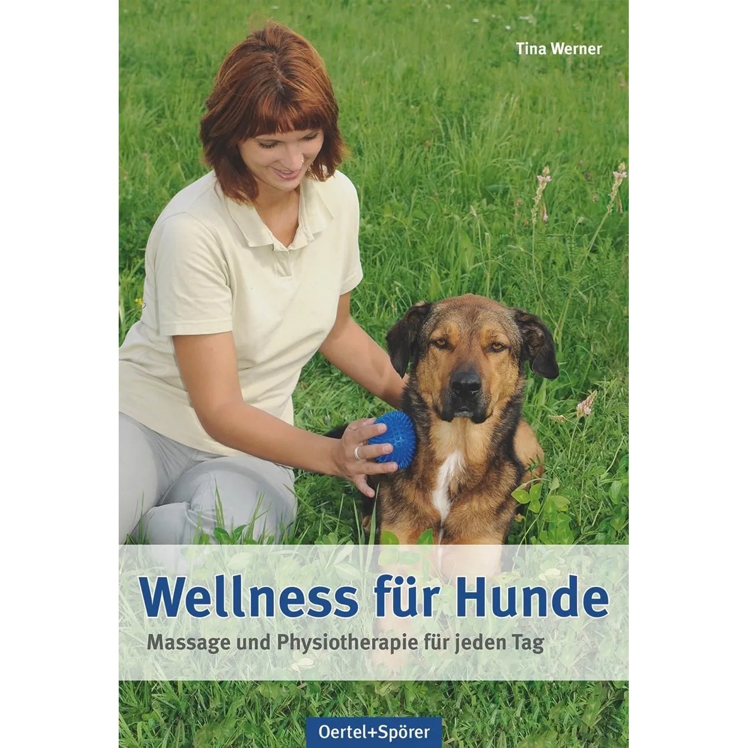 Wellness für Hunde