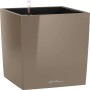Hochglanz Lechuza Pflanzgefäß Cube Premium, 50 cm, Taupe. Quadratischer Pflanzkübel mit Bewässerungssystem.