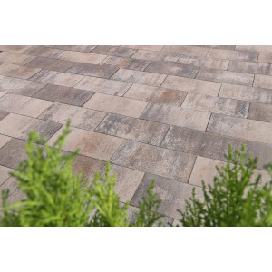 Veria Pflastersteine in Muschelcreme, 40x20x8 cm, für moderne Flächengestaltung im Außenbereich.