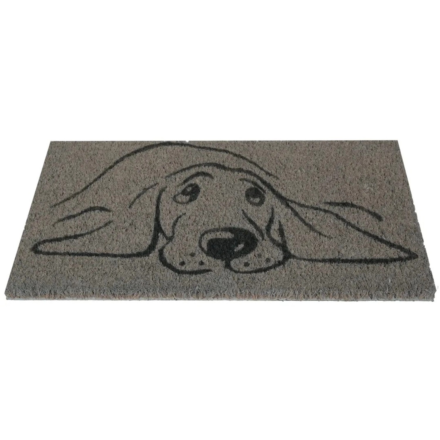 Bestlivings Kokos Fußmatte 40 x 60 cm Hund günstig online kaufen