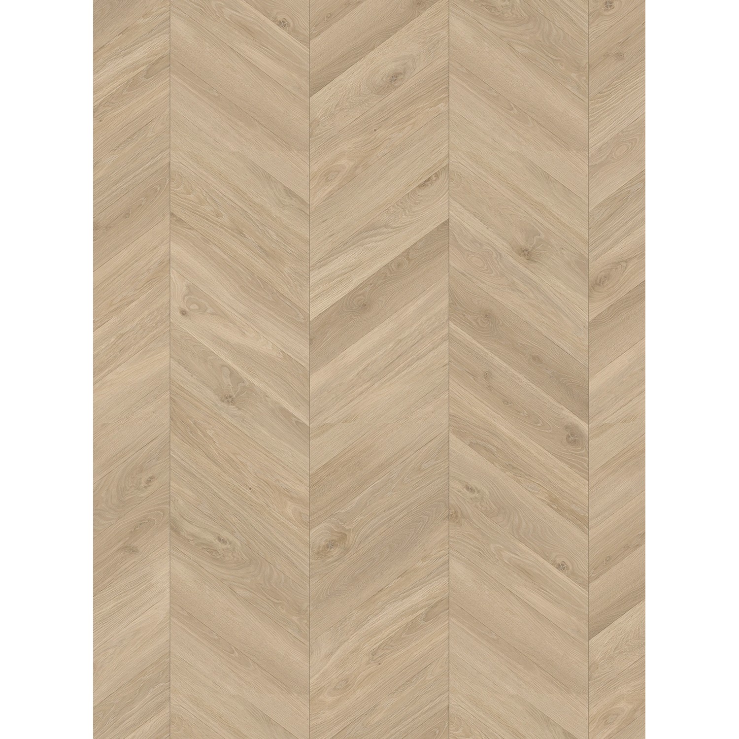 Parador Laminatboden Trendtime 8 Eiche Loire Beige Seidenmatt Struktur günstig online kaufen