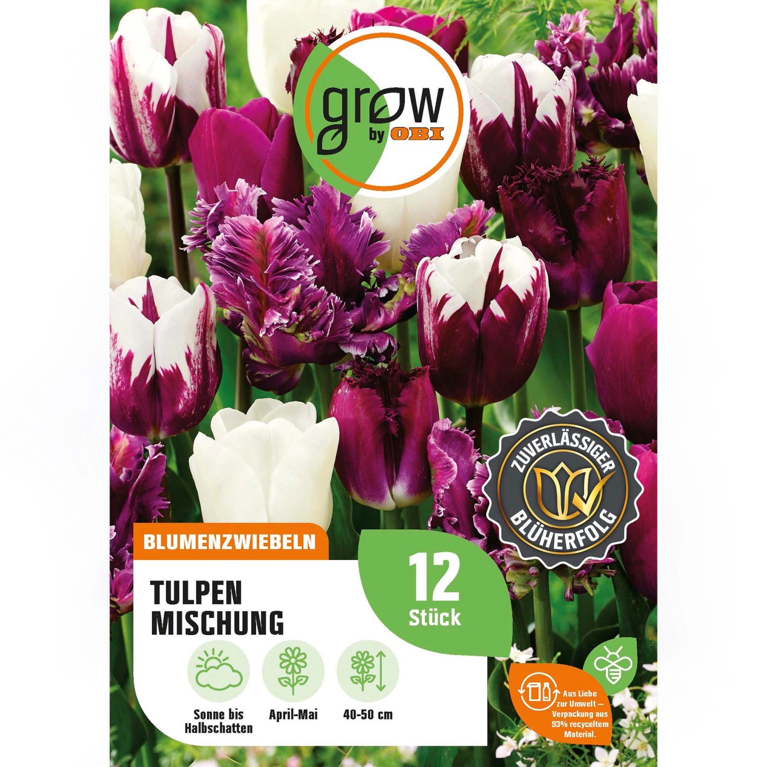 GROW by OBI Tulpen Mischung Nr.1 / 12 Stück Tulipa mix günstig online kaufen