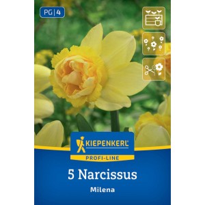 Kiepenkerl Narzisse Milena Blumenzwiebeln. Gelbe, gefüllte Narzissenblüte auf der Packung.