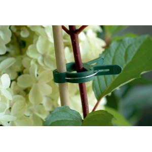 Grüne Pflanzenclips (20 Stk.) in 3 Größen fixieren eine Pflanze an einem Stab im Garten.