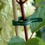 Grüne Pflanzenclips (20 Stk.) in 3 Größen fixieren eine Pflanze an einem Stab im Garten.