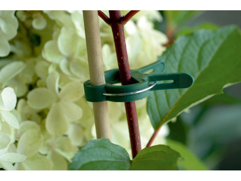 OBI Pflanzenclips – 20-teilig – Produktbild 1 von 3