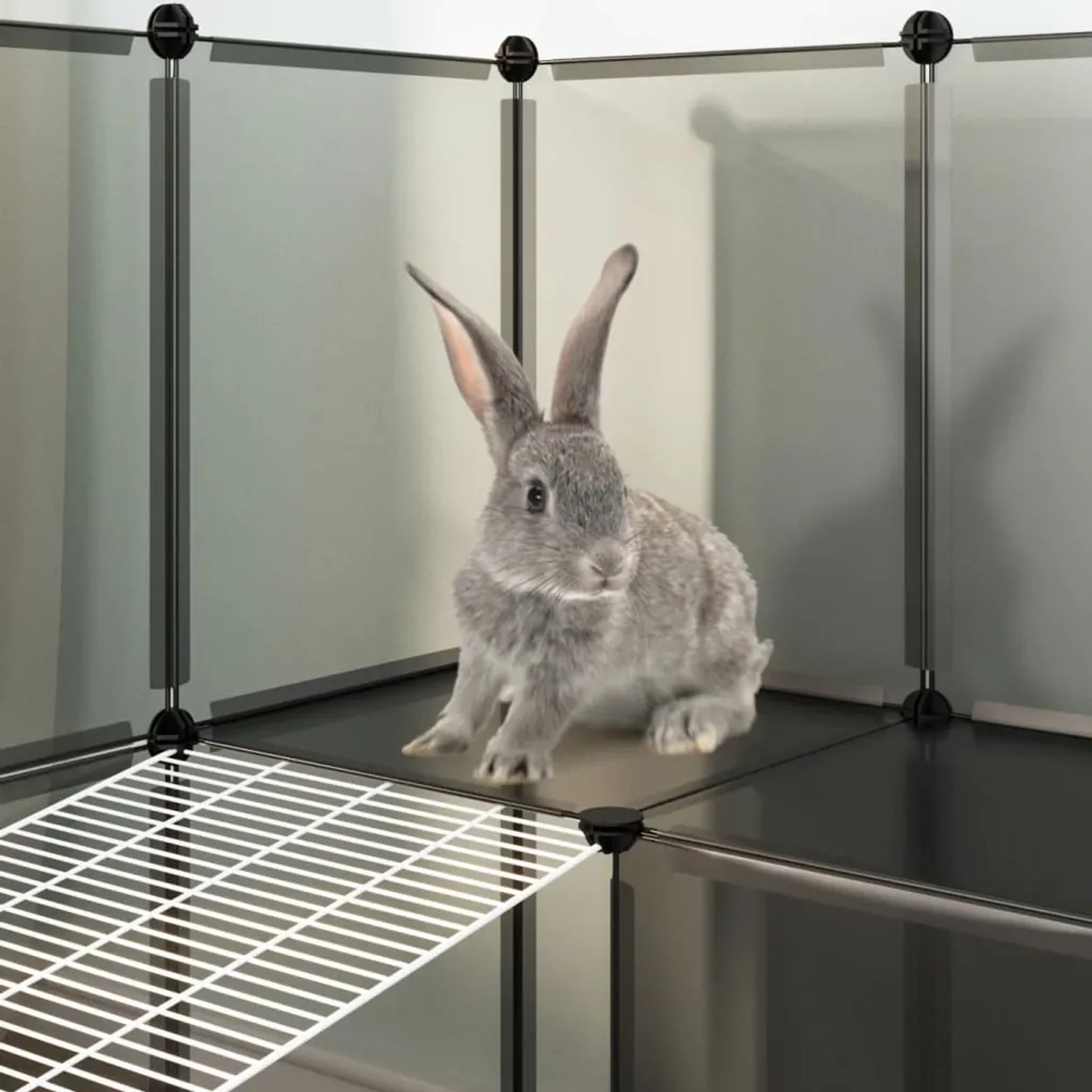 Grauer Hase im schwarzen vidaXL Kleintierkäfig (143x107x93 cm) aus Stahl und PP.