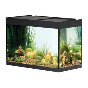 Schwarzes Oase Aquarium StyleLine 175 mit Pflanzen und Steinen.