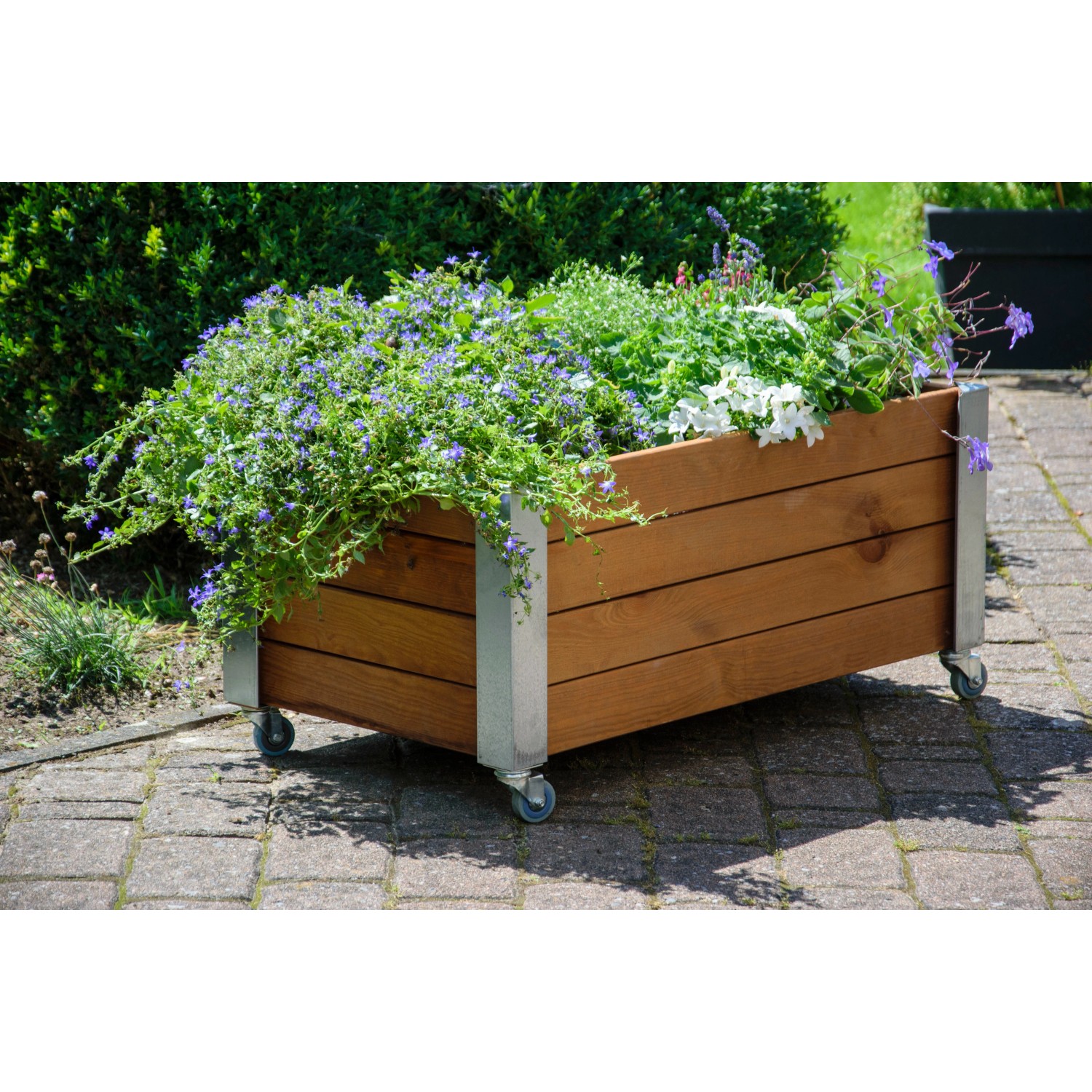 Braunes Dobar Hochbeet Rollfi aus Holz mit Rollen und Bepflanzung.