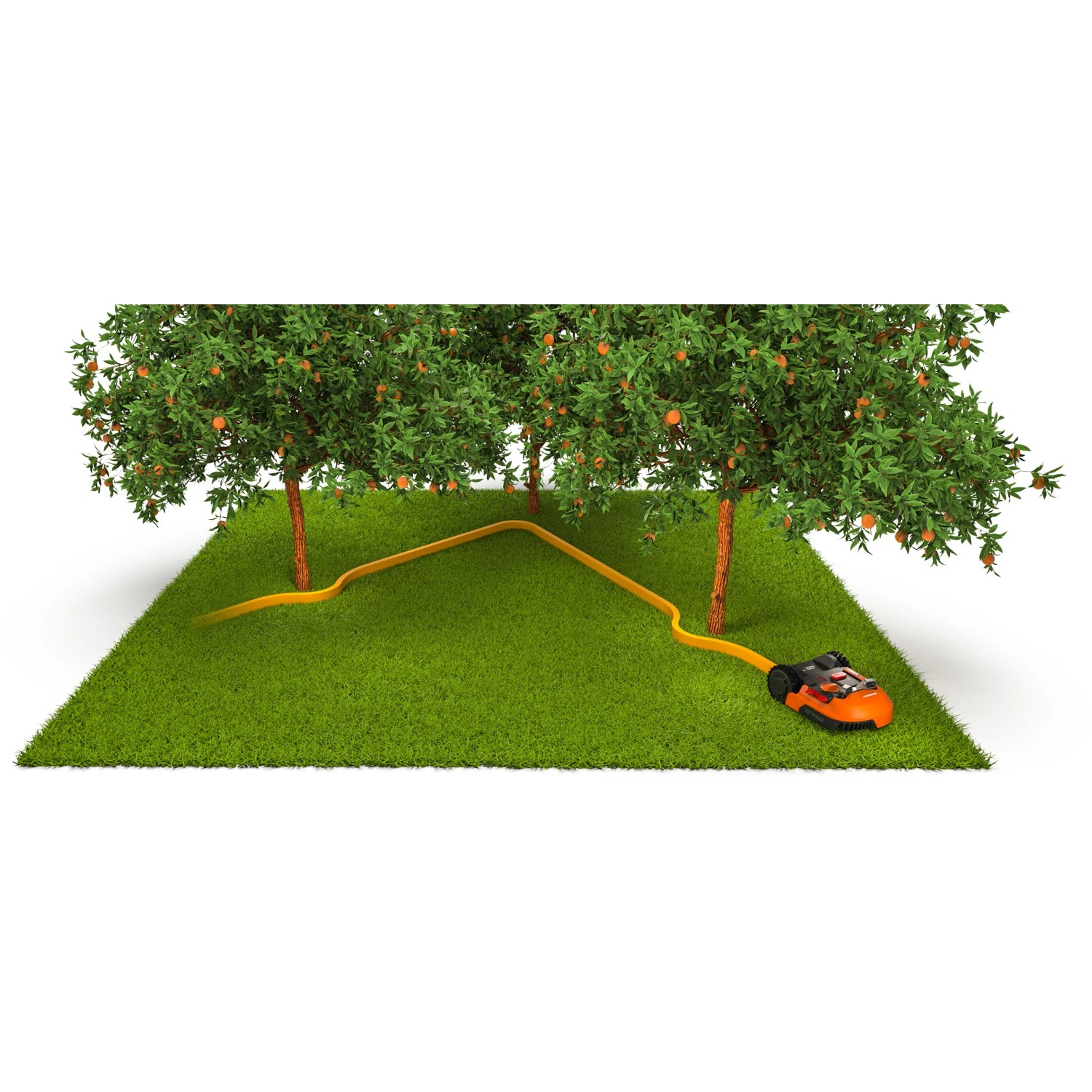 Worx Landroid Mähroboter mit Kollisionssensor ACS umfährt Baum auf Rasenfläche.