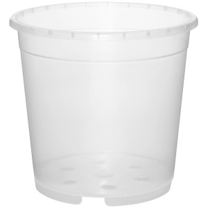 Transparenter Geli Orchideentopf, Ø 12 cm, aus Kunststoff. Ideal zur Wurzelkontrolle.