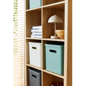 Rotho Multibox Albula für C4 Mistletoe Green 27 l