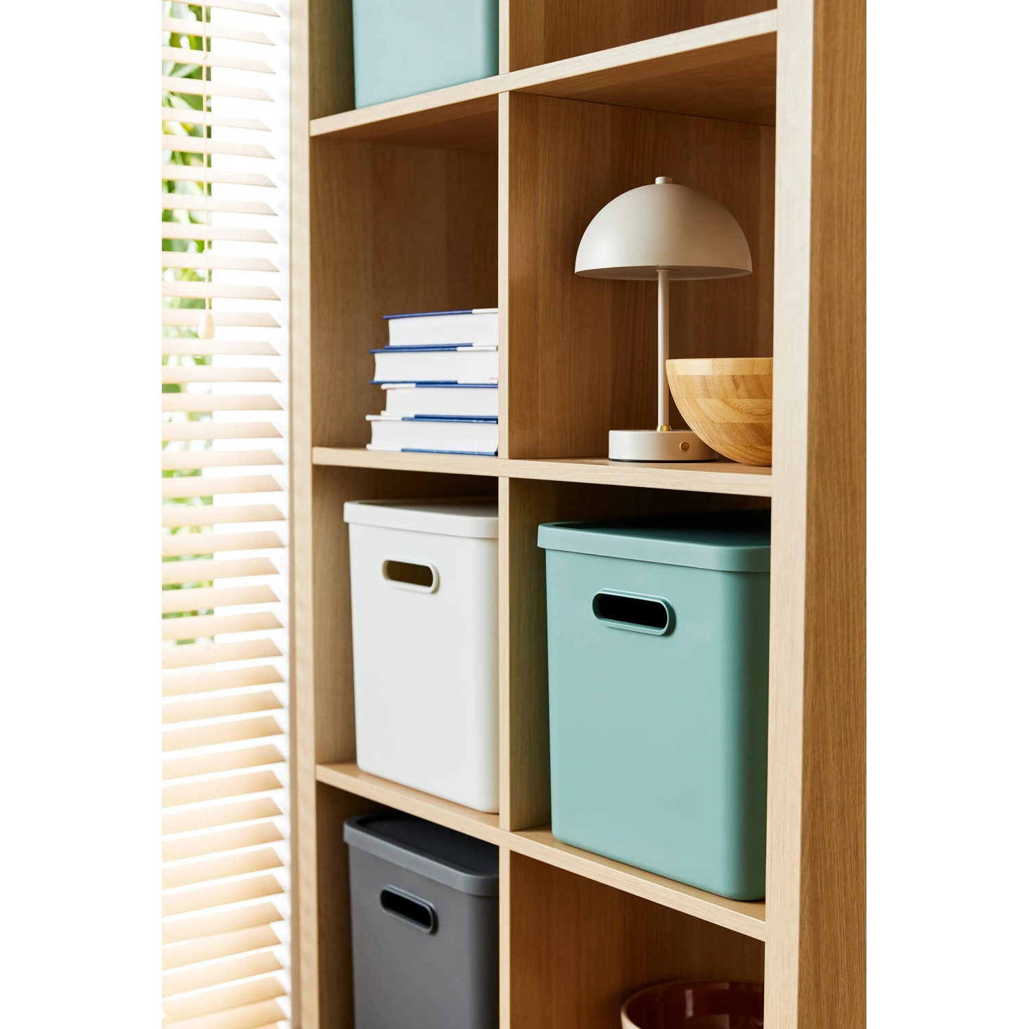 Rotho Albula Multibox in Mistletoe Green (27 l) im Regal. Aufbewahrungsbox für C4-Format.