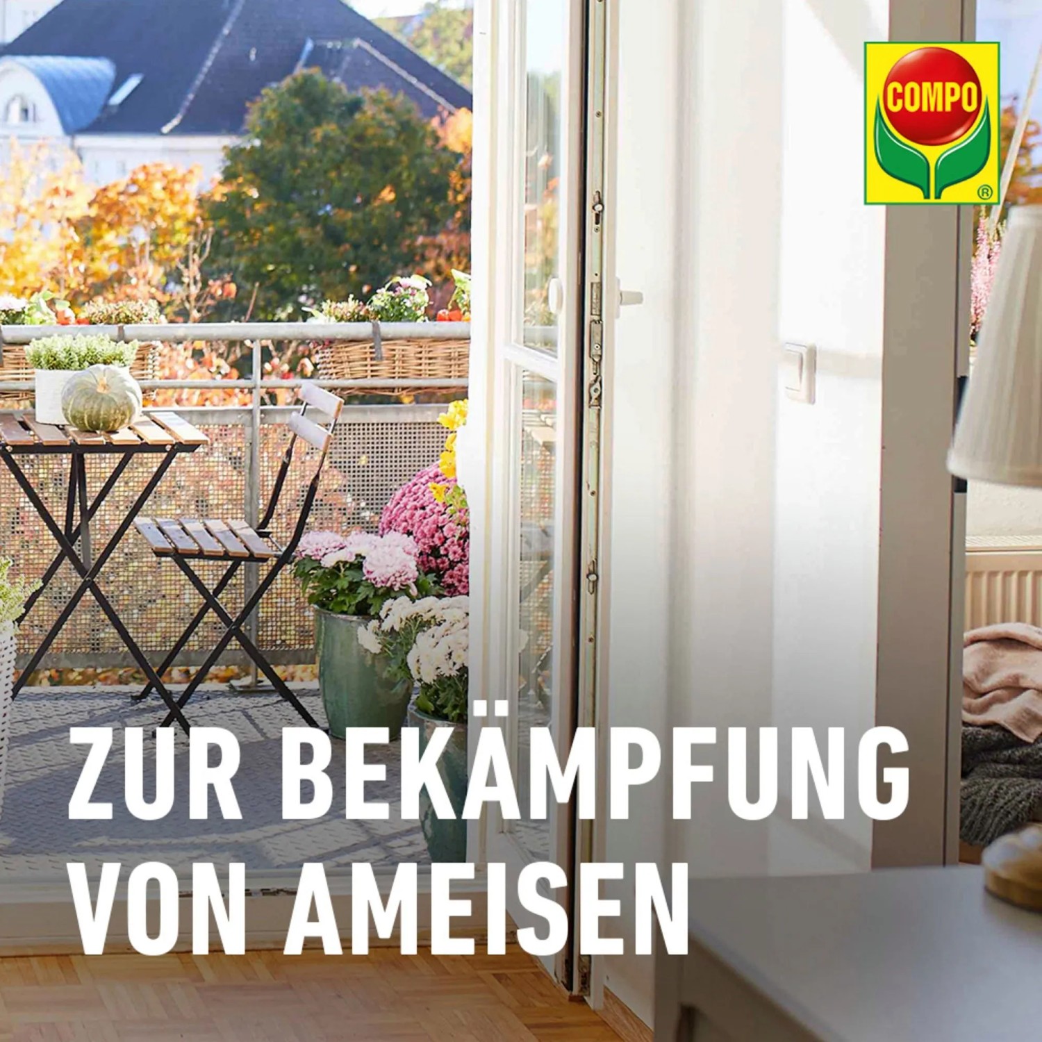Compo Ameisen Köderdose im Einsatz auf dem Balkon mit Tisch und Blumen.