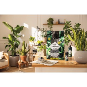 Lechuza-Pon Pflanzsubstrat (12L) für Zimmerpflanzen, mit Pflanzen und Zubehör auf Tisch