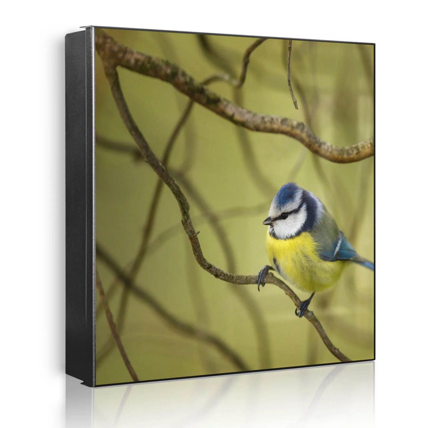 Banjado Großer Schlüsselkasten Metall 30x30cm Schwarz Scharnier Links 50 Haken Beschreibbar Magnetisch Motiv Blaumeise Im Baum