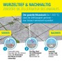 Anwendungsbeispiel Gloria Thermoflamm bio Professional Plus Unkrautbrenner mit Schlauch im Einsatz.