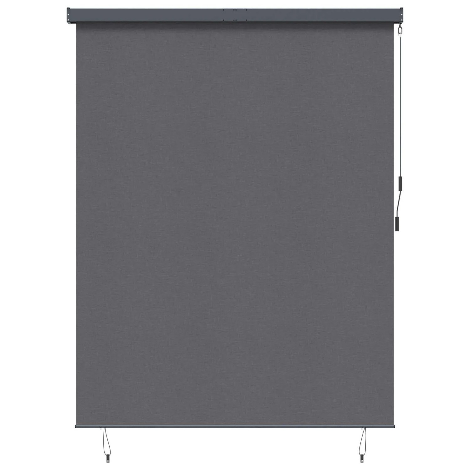 vidaXL Rollo mit Vorhängen Anthrazit 200 x 250 cm Stoff und Aluminium 362090