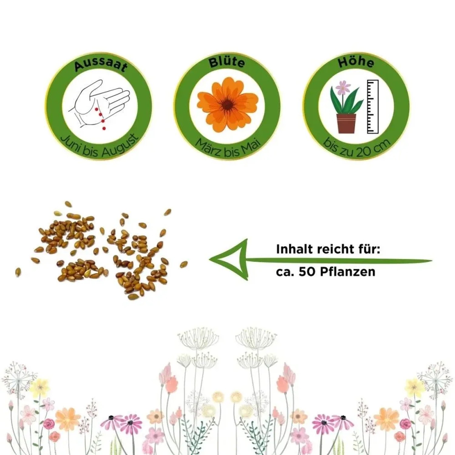 Stiefmütterchen Schweizer Riesen Samen. Icons für Aussaat Juni-Aug, Blüte März-Mai, 20cm Höhe. Inhalt für 50 Pflanzen.