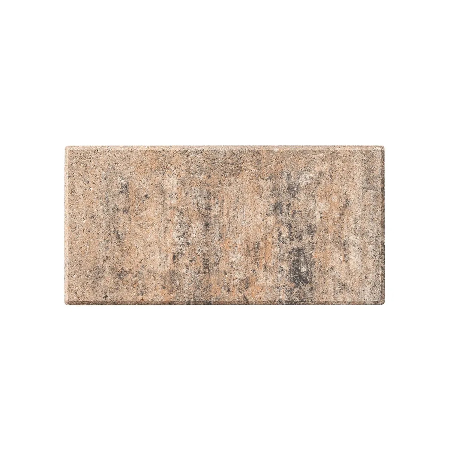 Diephaus Terrassenplatte Corso Muschelkalk, 40x20x4 cm, Betonplatte für Terrasse und Gehwege.