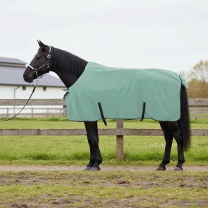 Pferd mit hellgrüner vidaXL Pferdedecke aus Polyester im Freien.