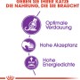 Grafik: Royal Canin Sensible Katzenfutter Vorteile: Verdauung, Akzeptanz, Energiedichte.