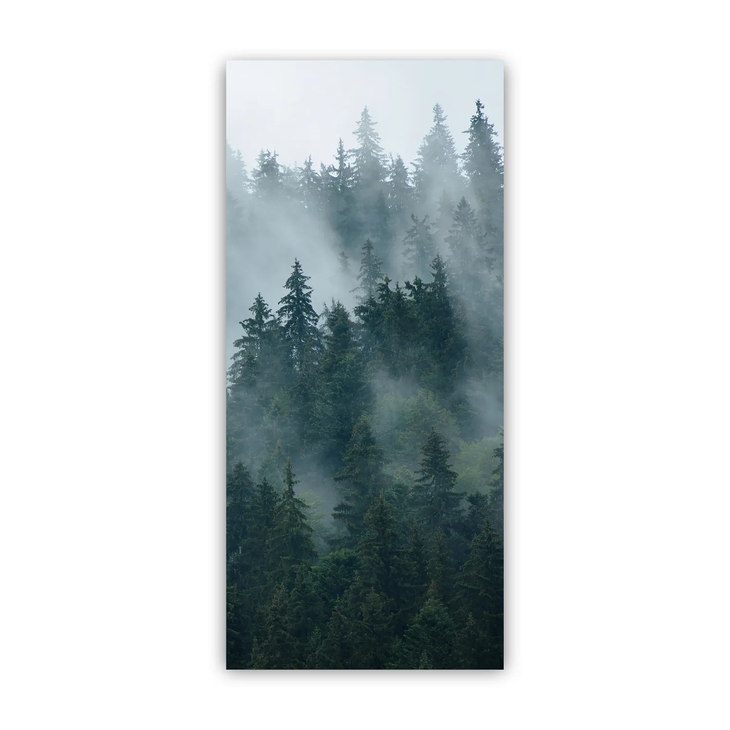 Walllux Duschrückwand Tannenwald Alu-Verbund 3 mm 90 x 200 cm