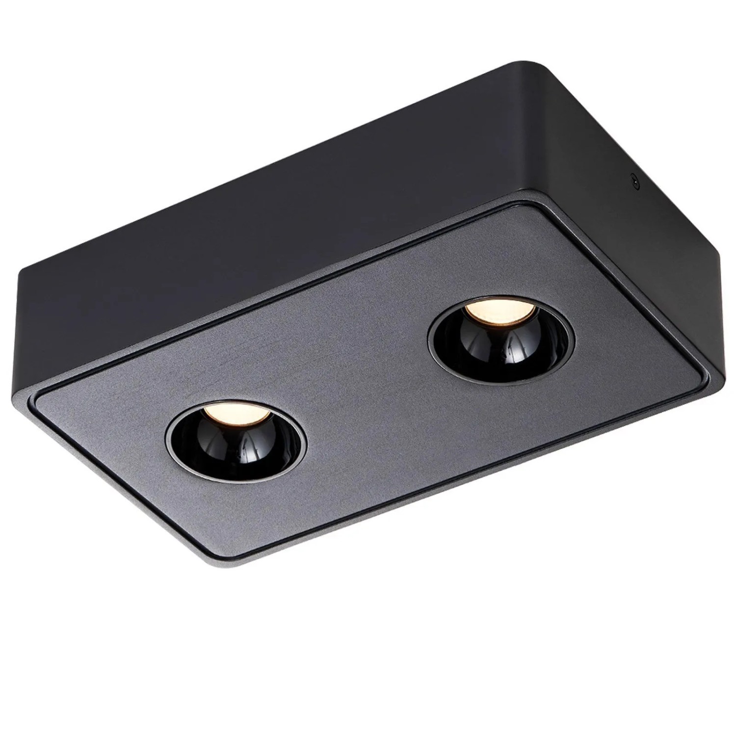 NETTLIFE LED Deckenleuchte aus Metall L23cm Schwarz
