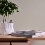 A.S. Création Vliestapete Uni Beige an Wand, kombiniert mit Tisch, Pflanze und Büchern.