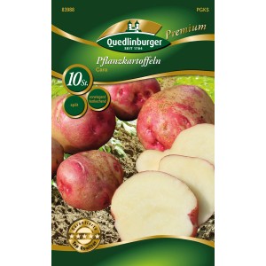Quedlinburger Pflanzkartoffeln 'Cara', rot gefleckt, vorwiegend festkochend, 10 Stück.