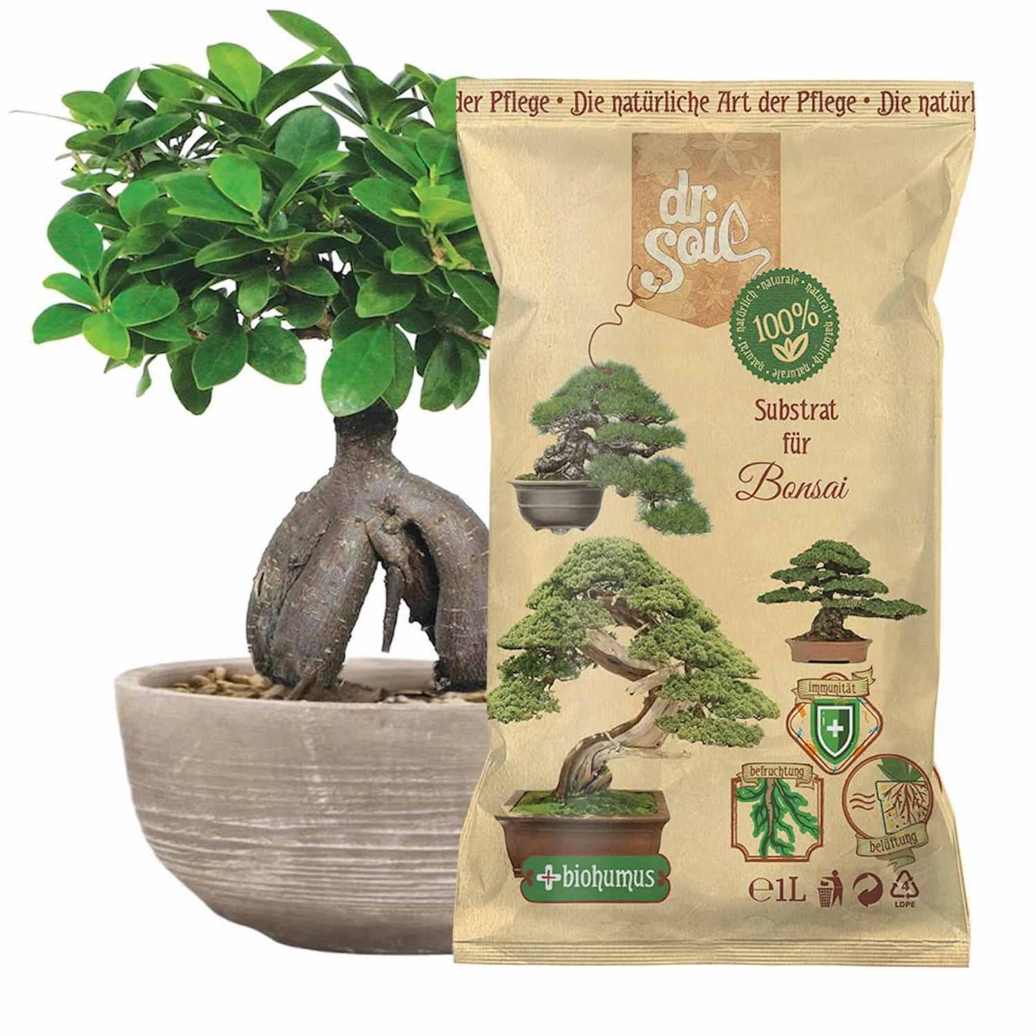 Solevivo Terra Terriccio Universale Alfe 10 Litri - La Salute Delle Piante